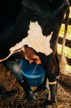 一体化设备处理豆制品废水方案 - 常见问题解决方案