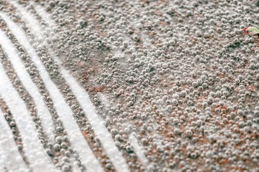 气浮机处理研磨废水方案 - 溶气气浮机选型决策的5大核心参数