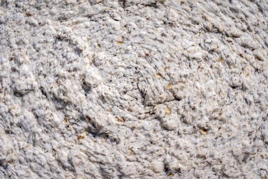 污泥减量设备运行成本分析 - 常见问题解答：污泥减量成本控制