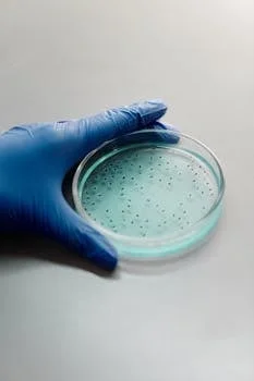 板框压滤机 - 板框压滤机2026年市场价格参考与成本控制建议