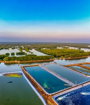 厌氧氨氧化参数控制 - 温度参数控制：30-40℃为Anammox菌最佳活性区间