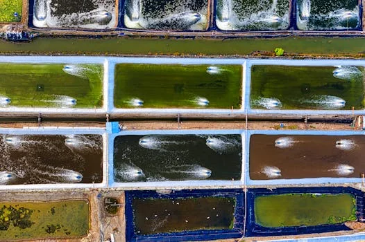 污水处理出水氨氮超标原因及对策 - 氨氮超标的7大原因与量化诊断标准