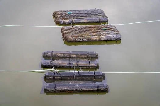 电芬顿出水水质分析 - 电芬顿出水COD与GB 18918-2002一级A标准对照表