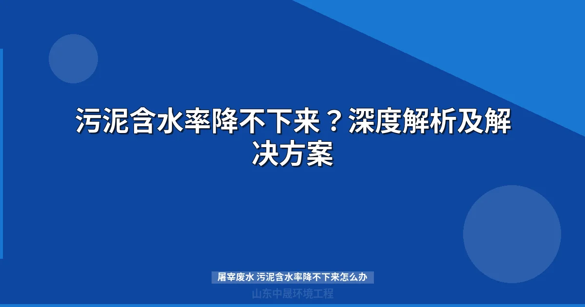 污泥含水率降不下来？深度解析及解决方案