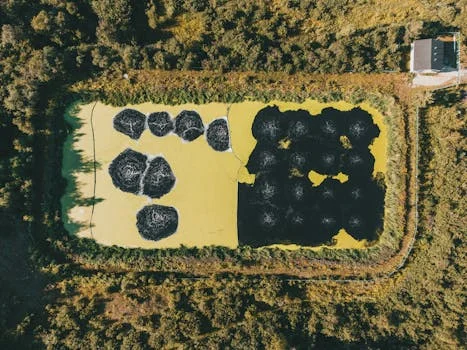 滨州市无棣县污水治理方案 - 无棣县污水合规申报流程与注意事项