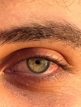 襄阳市老河口市污水治理方案 - 工程投资预算与成本优化策略