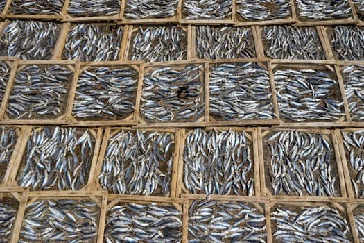 芬顿反应器处理海产品加工废水方案 - 相关产品推荐