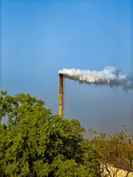 活性炭过滤器适用范围 - 制药与精细化工：抗生素中间体与溶剂残留去除