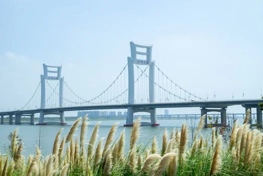 地埋式污水设备处理养殖废水方案 - 设备选型计算公式与工程实例