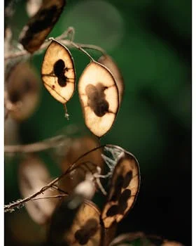 含氰废水预处理方法 - 相关产品推荐