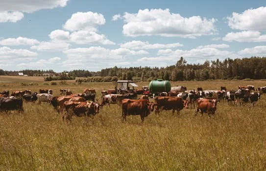 气浮机处理养殖废水方案 - 气浮+生化组合工艺方案设计