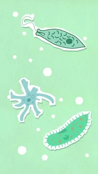 山南市扎囊县污水治理方案 - 扎囊县污水治理项目实施要点与合规申报