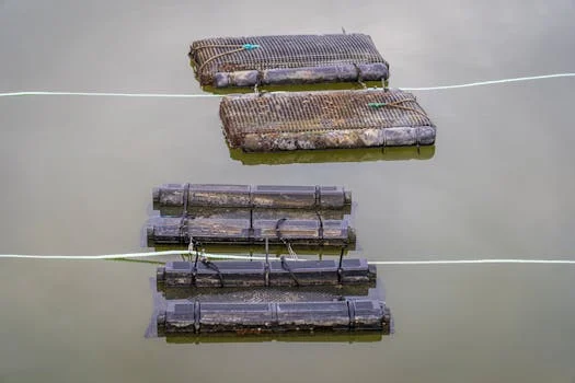 河源市龙川县污水治理方案 - 龙川县污水治理工程投资与运维成本参考