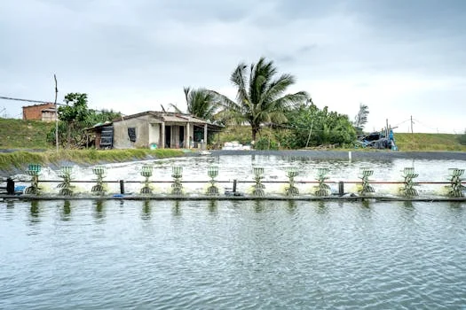 九江市武宁县污水治理方案 - 武宁县污水治理项目投资成本与效益分析