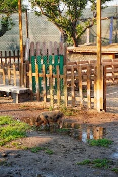 厌氧塔处理养猪废水方案 - 厌氧塔处理养猪废水设计参数与工程计算