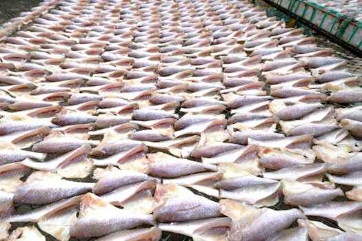 丹东市东港市污水治理方案 - 延伸阅读