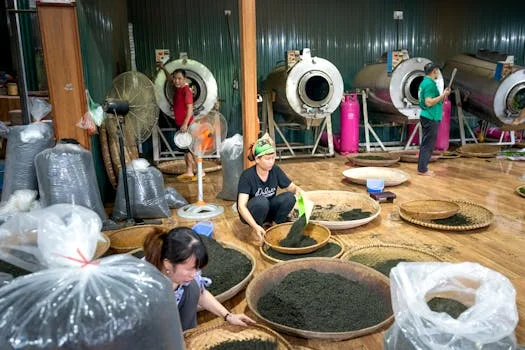 百色市西林县污水治理方案 - 延伸阅读