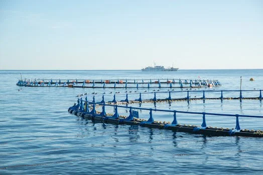 芬顿反应器处理水产养殖废水方案 - 延伸阅读