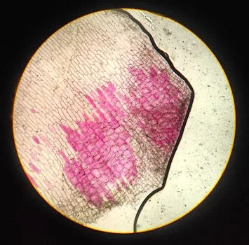 MBR设备处理喷漆废水方案 - 工程案例：汽车零部件喷漆废水处理站