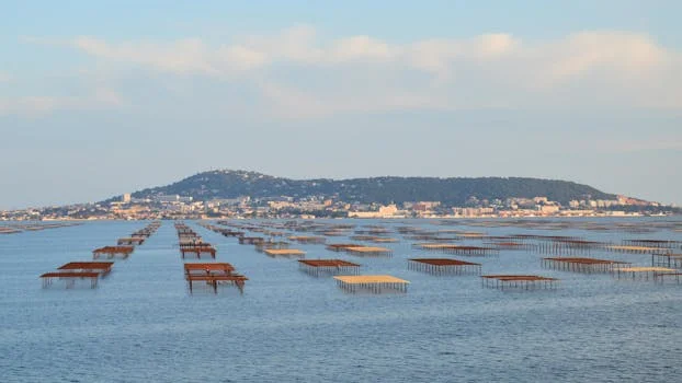 纳滤设备处理养猪废水方案 - 养猪场纳滤vs超滤vs反渗透:三种膜技术怎么选