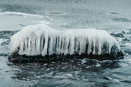 呼伦贝尔市陈巴尔虎旗污水治理方案 - 延伸阅读