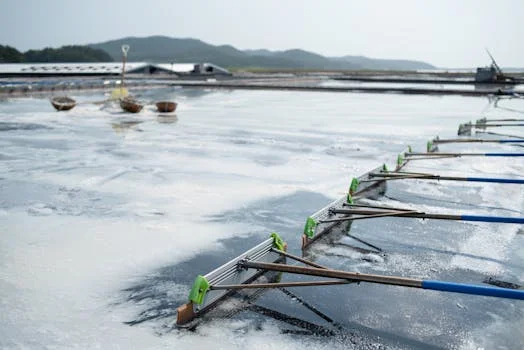 无锡市滨湖区污水治理方案 - 滨湖区污水治理达标案例参考