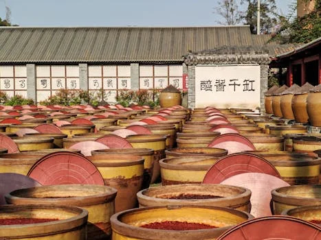 叠螺机处理调味品废水方案 - 工程达标案例：某酱油生产企业废水处理实例