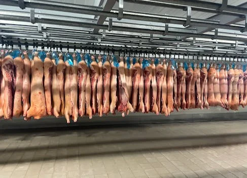 漯河市召陵区污水治理方案 - 召陵区污水治理主流工艺对比与设备选型
