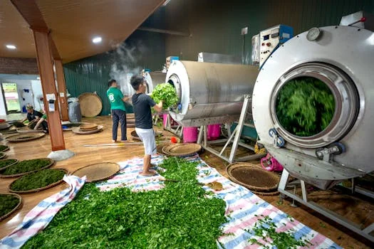 碳化硅废水设计方案 - 典型设计方案对比:投资规模与适用场景匹配