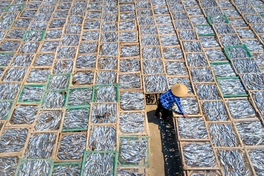 一体化设备处理海产品加工废水方案 - 气浮+MBR组合工艺流程与关键技术参数