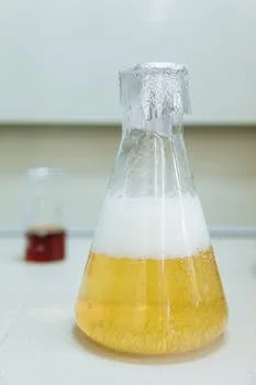 半导体TMAH废水处理 - TMAH与氨氮废水协同处理:资源化利用方案