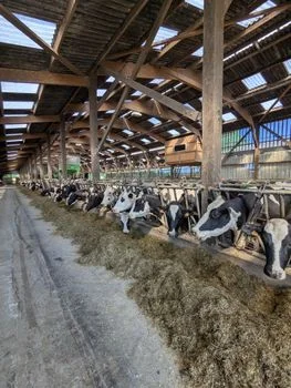乳制品污水处理工程案例分析 - 乳制品污水处理工程典型案例分析
