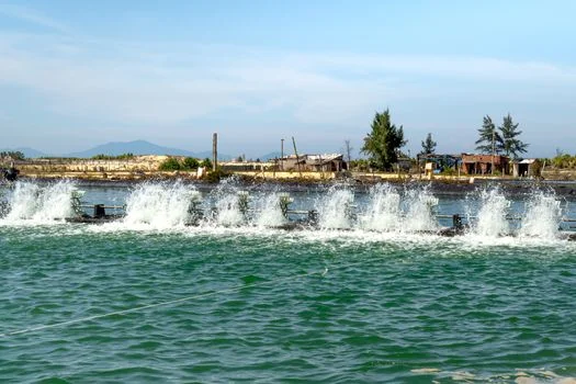 长治市黎城县污水治理方案 - 黎城县污水治理项目投资预算与成本效益分析