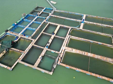 泉州市惠安县污水治理方案 - 选型决策框架:场景匹配与成本测算