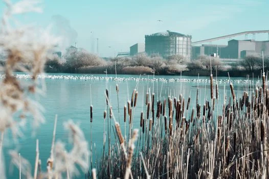 安庆市岳西县污水治理方案 - 地埋式一体化污水处理设备技术特点