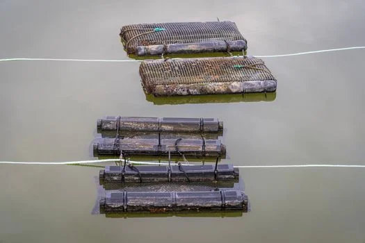 本溪市南芬区污水治理方案 - 南芬区污水治理项目投资成本测算参考