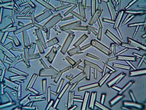 氨氮废水化学沉淀处理 - 氨氮废水化学沉淀法常见问题解答