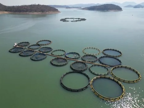 湖州市德清县污水治理方案 - 典型工程造价与投资效益分析