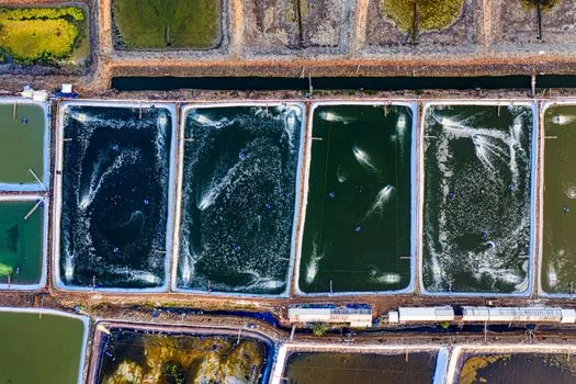 商丘市睢阳区污水治理方案 - 睢阳区污水治理方案实施路径与达标建议