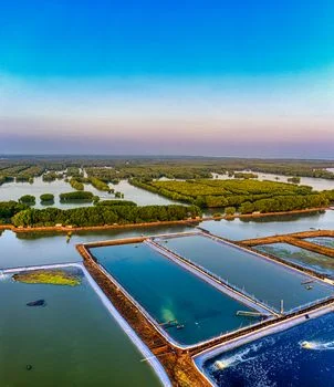 淮安市洪泽区污水治理方案 - MBR一体化污水处理设备：工艺原理与核心参数