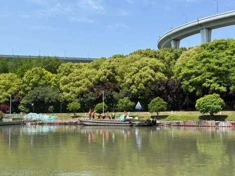 乐山市市中区污水治理方案 - 市中区污水治理达标排放标准与验收要点