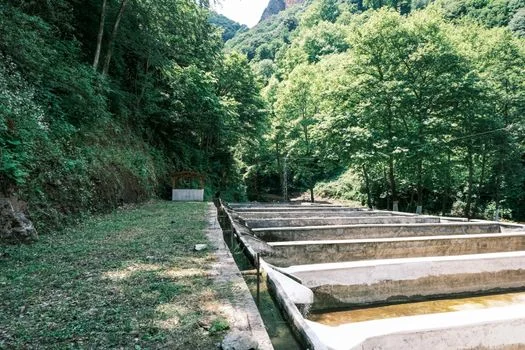 咸阳市三原县污水治理方案 - 投资预算与运维成本测算