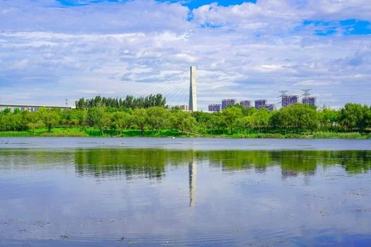 天津市西青区污水治理方案 - MBR与WSZ选型决策矩阵：西青区项目场景匹配